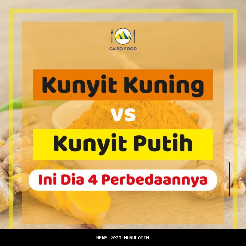 Kunyit: Emas Kuning yang Melawan Kanker dan Peradangan