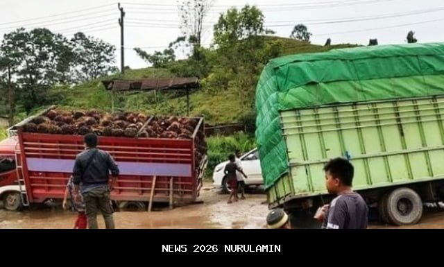Macet 14 Jam di Jalur Bontang–Samarinda Menghilang, Kondisi Terkini Truk Trailer yang Macet