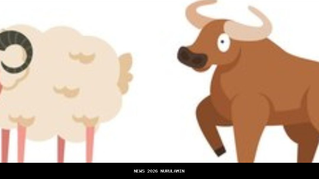 Ramalan Zodiak Taurus 9 November 2025: Rencana Direvisi, Bukan Dipercepat