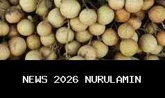 7 Manfaat Kuliner Tutut: Meningkatkan Kecerdasan, Mencegah Anemia, dan Memperkuat Tulang