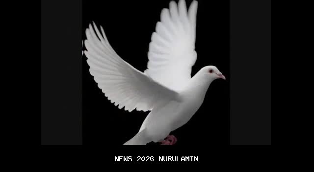 Dara Natasha Tampil Mencuri Perhatian dengan Busana Nyi Roro Kidul, Juara Icon Indonesia Culture 2025