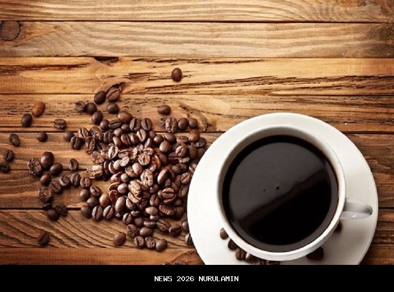 Negeri Yasnaya dan Politik Improvisasi: Dari Latte hingga Lobi Anggaran