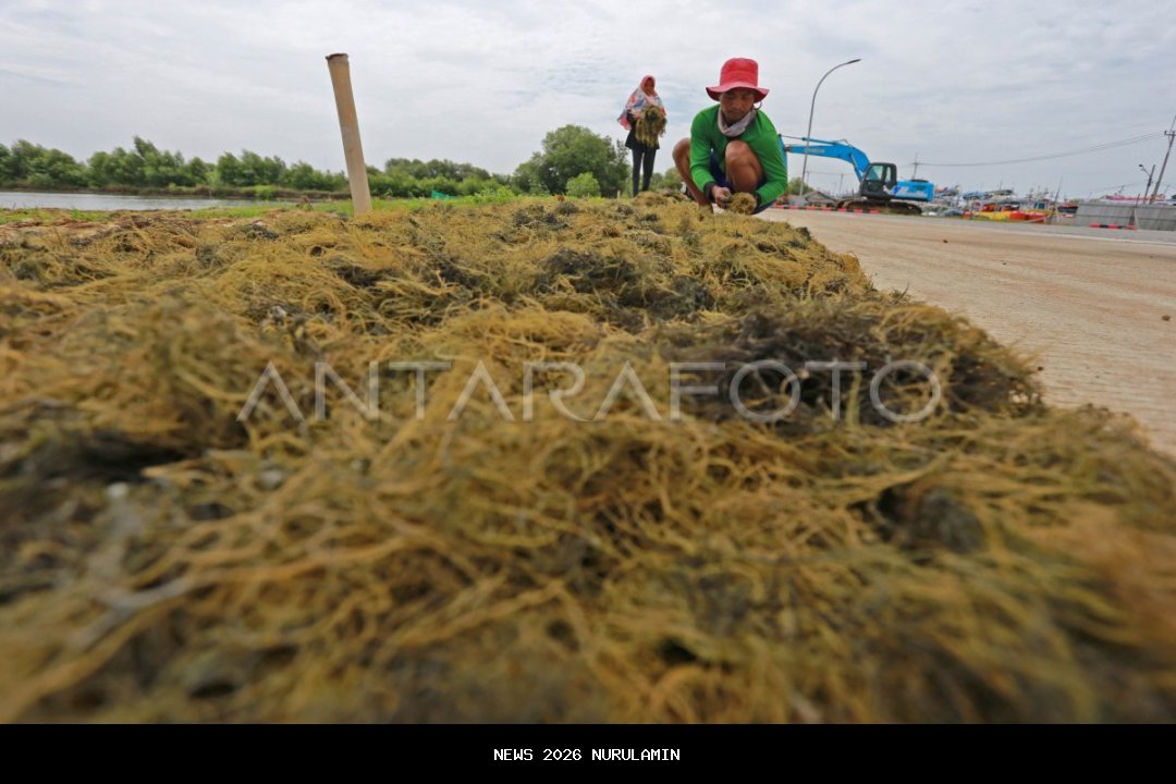 Hilirisasi Sumber Daya Alam untuk Aceh Berkembang