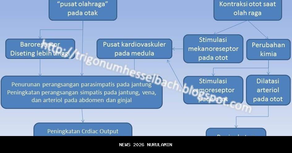 Denyut Subak Jembrana Kembali Berdetak, Hanya Suara Air yang Terdengar, 'Setahun Kami Tanam 4 Kali'