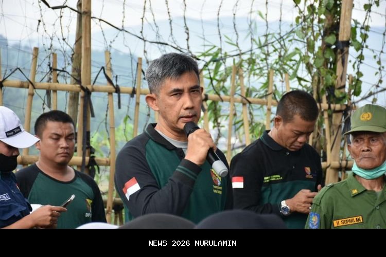 Realisasi PAD Bandung Capai Rp 1,6 T, Bupati Ajak Warga Bayar Pajak Tepat Waktu