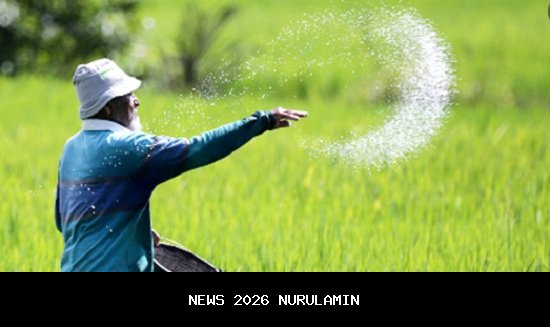 Ketua MPR Pujikan Kebijakan Turunkan Harga Pupuk, Petani Bahagia dan Optimis
