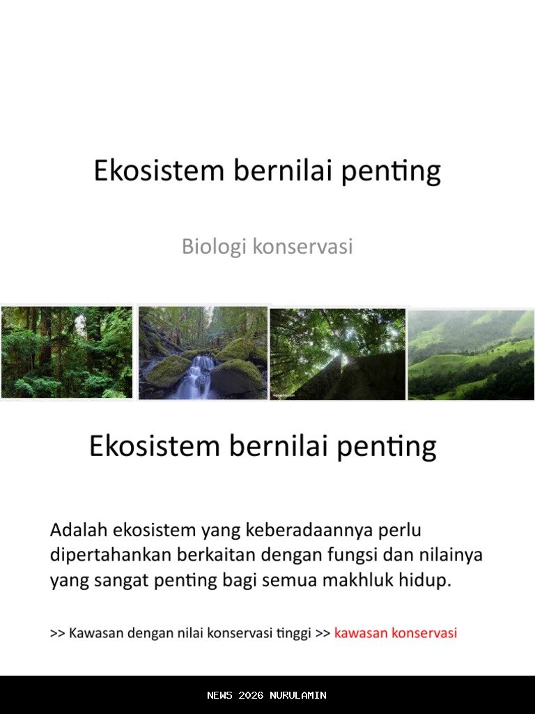 Mengapa Layanan Ekosistem Penting bagi Ekonomi, Budaya, dan Kehidupan Manusia?
