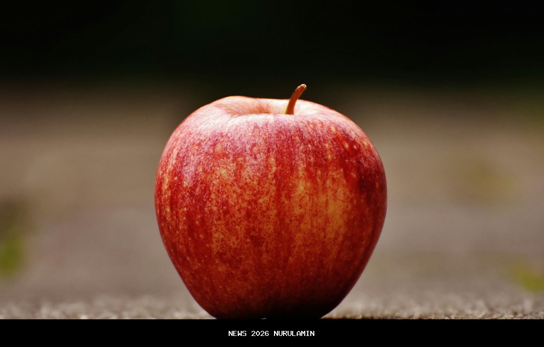 Apel HKN Ke-61, Wakil Wali Kota Sorong Baca Pesan Menkes Budi Gunadi