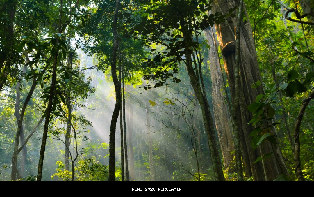 Perhutani KPH Gundih Sosialisasi Pensiun Iuran Pasti, Wawasan Baru bagi Purna Rimbawan