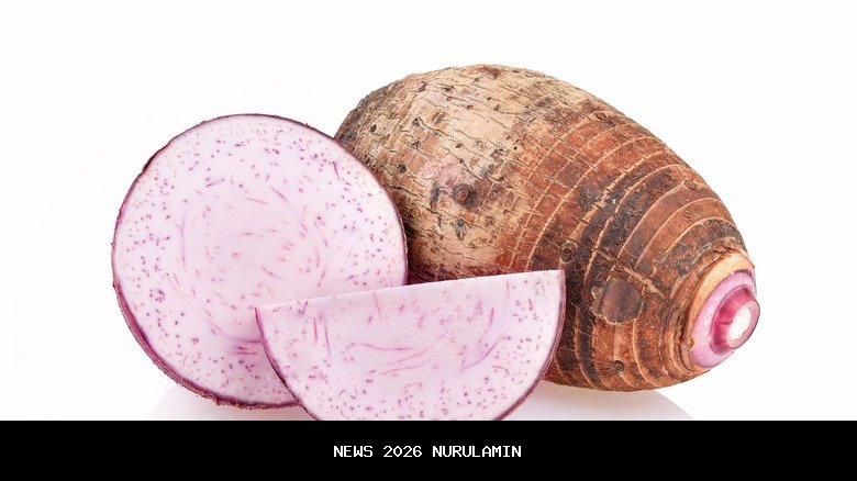 Taro Ron 250: Tenaga Buas, Harga Terjangkau!