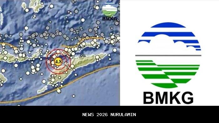 Gempa M 4.8 Guncang Alor NTT, Cek Update Terbaru dari BMKG