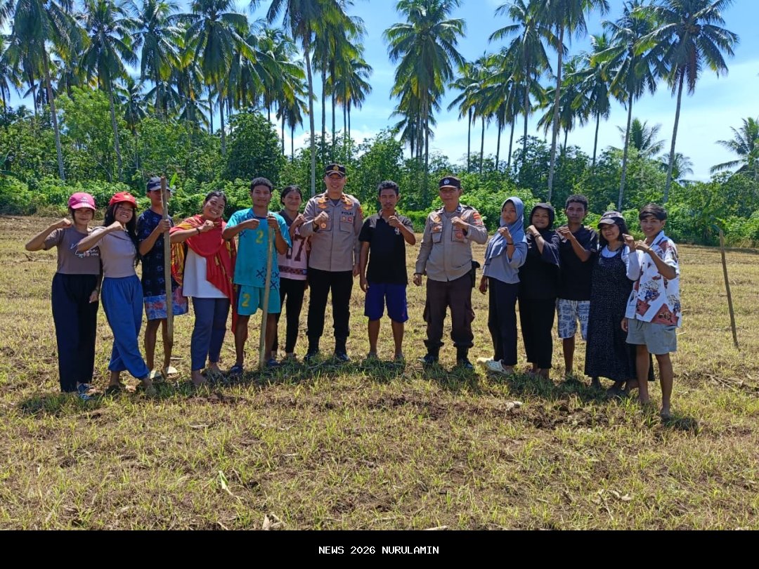 Aiptu Junaidy Bakary Bantu Petani LPTI Talawaan Bantik Pupuk Jagung