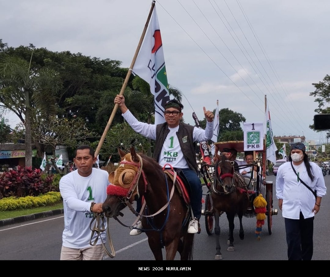 Usulkan 5 Dokar dan 6 Kuda ke Pemkot, Legislator PKB Palu: Identitas Budaya