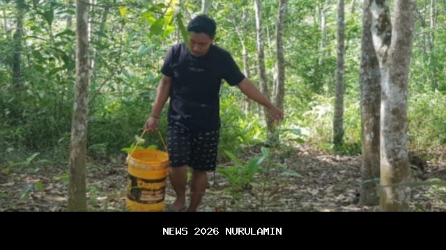 DPUPR Sarmi Berikan Air Bersih Merata ke Warga Liki