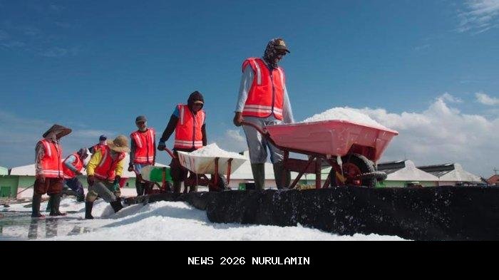 Produksi Garam PT Garam di Sampang Turun Akibat Cuaca Ekstrem, Target 150 Ribu Ton Terancam Gagal