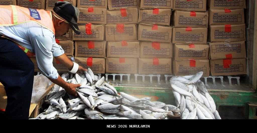 Setelah Bulan Maulid, Harga Ikan Gabus dan Toman Turun di Pasar Terpadu Kandangan HSS