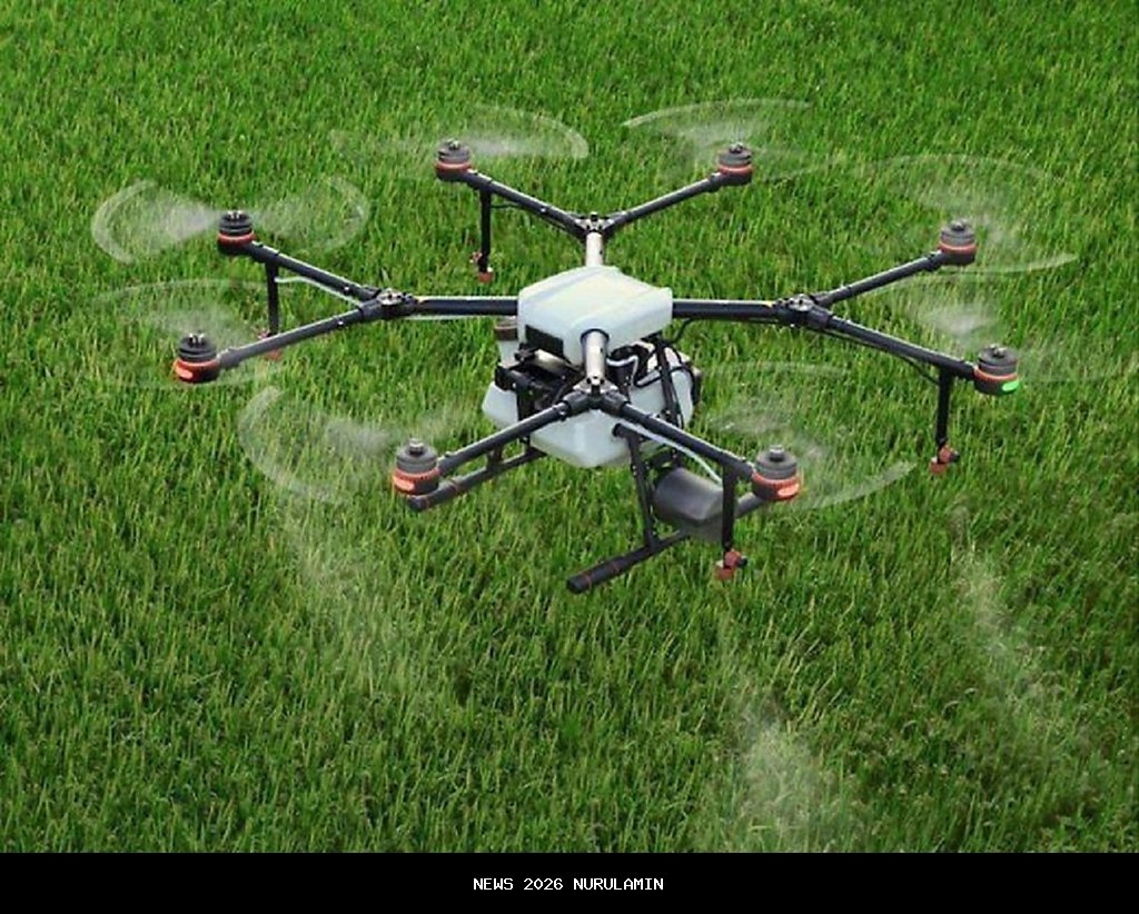 Kecerdasan Buatan: Katalis Tidak Tergantikan untuk Revolusi Pertanian Nigeria