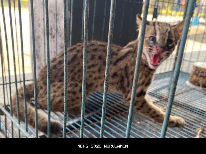 Dedy Setiawan, Wakil Ketua DPRD yang Ditahan Karena Korupsi, Tetap Hadir dalam Pengesahan APBD Jember 2026