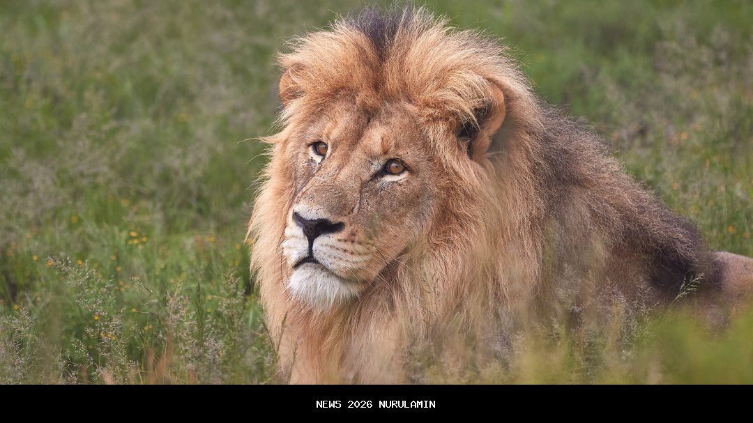 Lion Air Kukuhkan Mitra Baru untuk Layanan Ground Handling di Bandara DEO Sorong