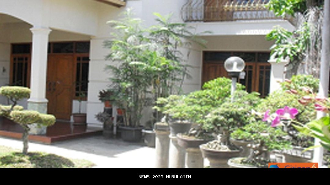 Mencari Bonsai di Tebing Batu, Seni yang Menguji Kekuatan dan Kesabaran