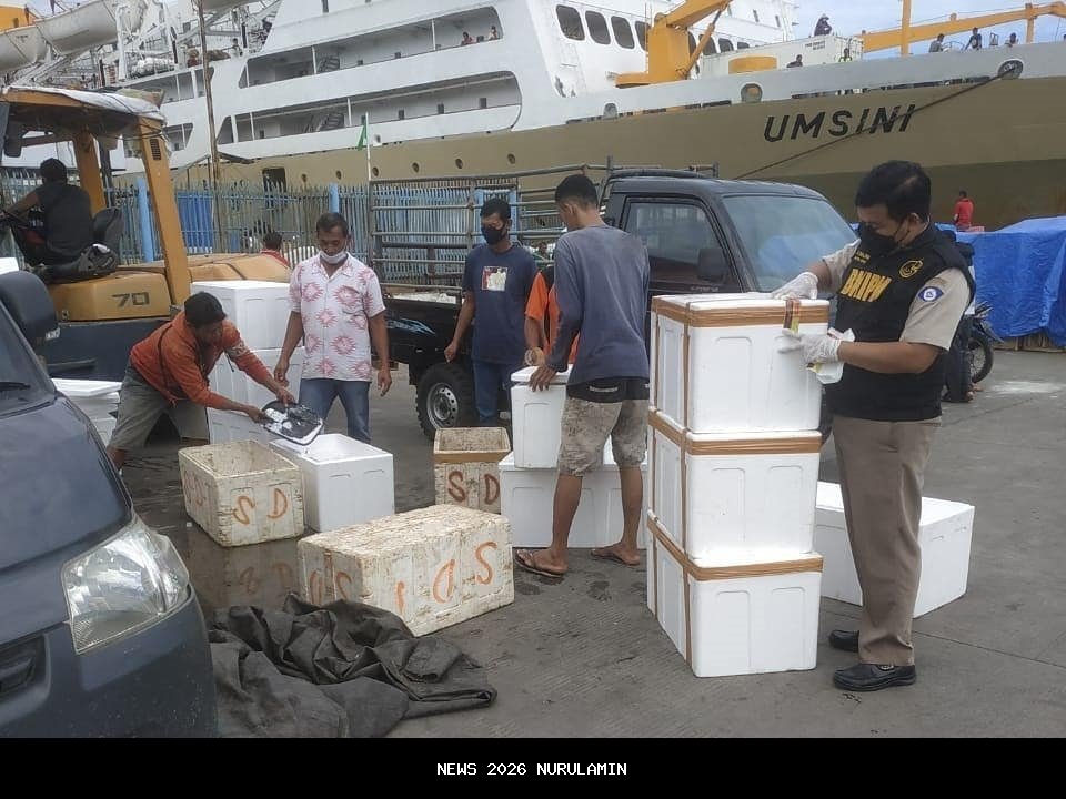 Jadwal Kapal PELNI KM Umsini November 2025: Rute dan Harga Terkini