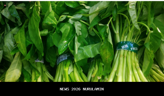 Kangkung Rebus: Manfaat Kesehatan dari Sayuran Sederhana