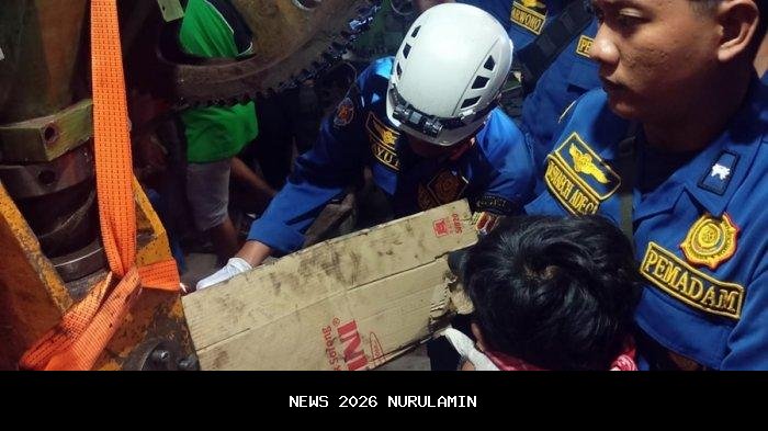 Kronologi Kematian Pekerja Pabrik Akibat Alat Berat di Lampung Tengah, Polisi Selidiki Peristiwa