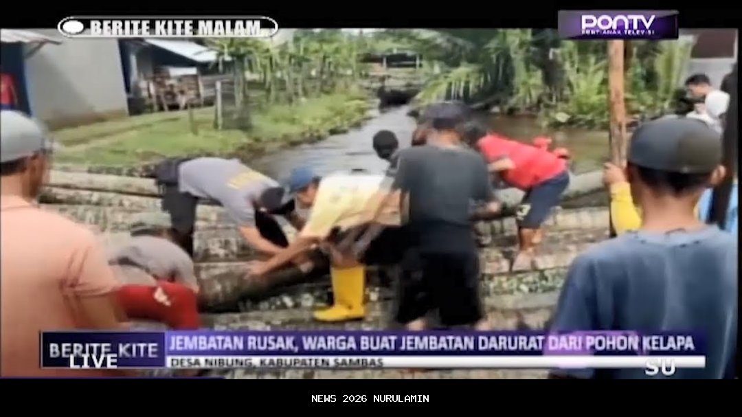 Warga Cimanggu Buat Jembatan Darurat dari Batang Kelapa Karena Pemerintah Tidak Perbaiki