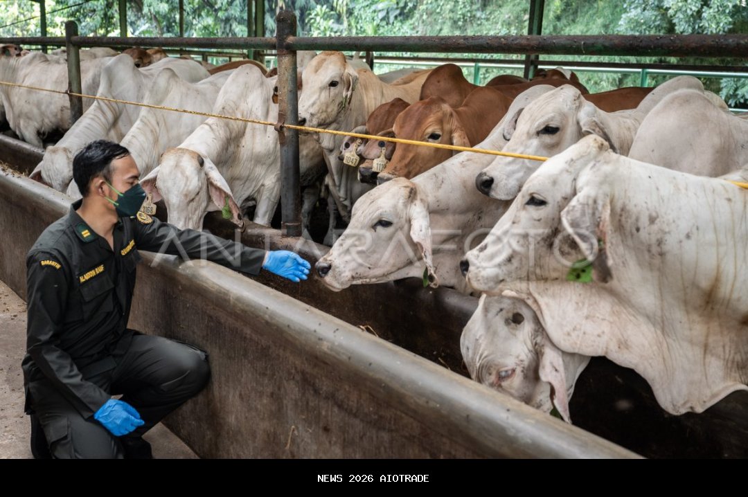 Dukung Animal Exchange, Taman Safari Bogor Miliki Instalasi Karantina Hewan Resmi Barantin