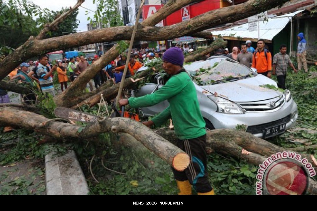Pohon Palem Tumbang Timpa Mobil Mewah, Pria Paruh Baya Tewas
