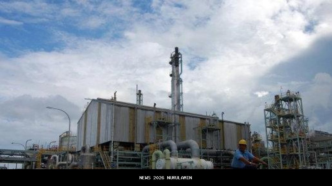 Orang Kaya Afrika Bangun Pabrik Pupuk Terbesar di Ethiopia