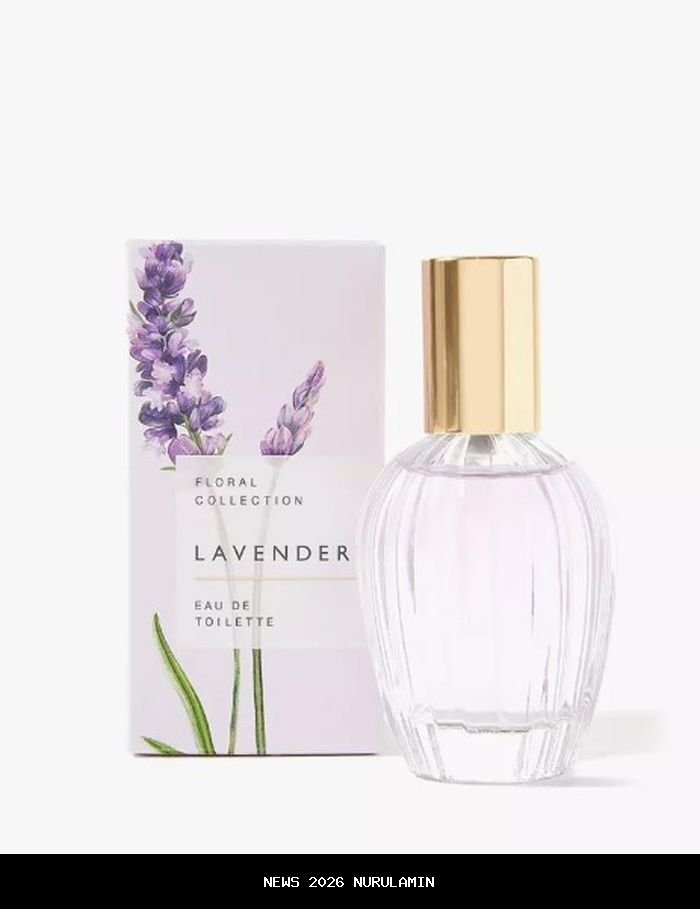 Aroma Lavender: Karakter dan Rekomendasi Parfumnya