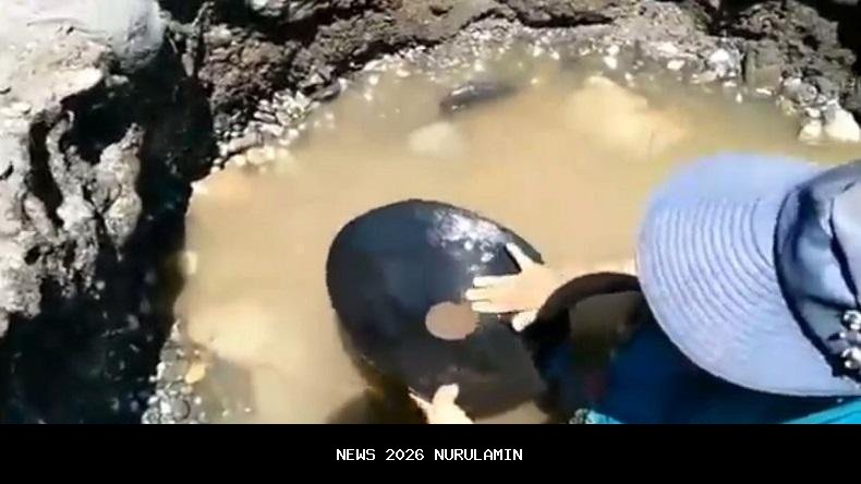 Dua Warga Ditangkap Gara-Gara Gali Emas di Tanah Sendiri, Ini Penjelasannya