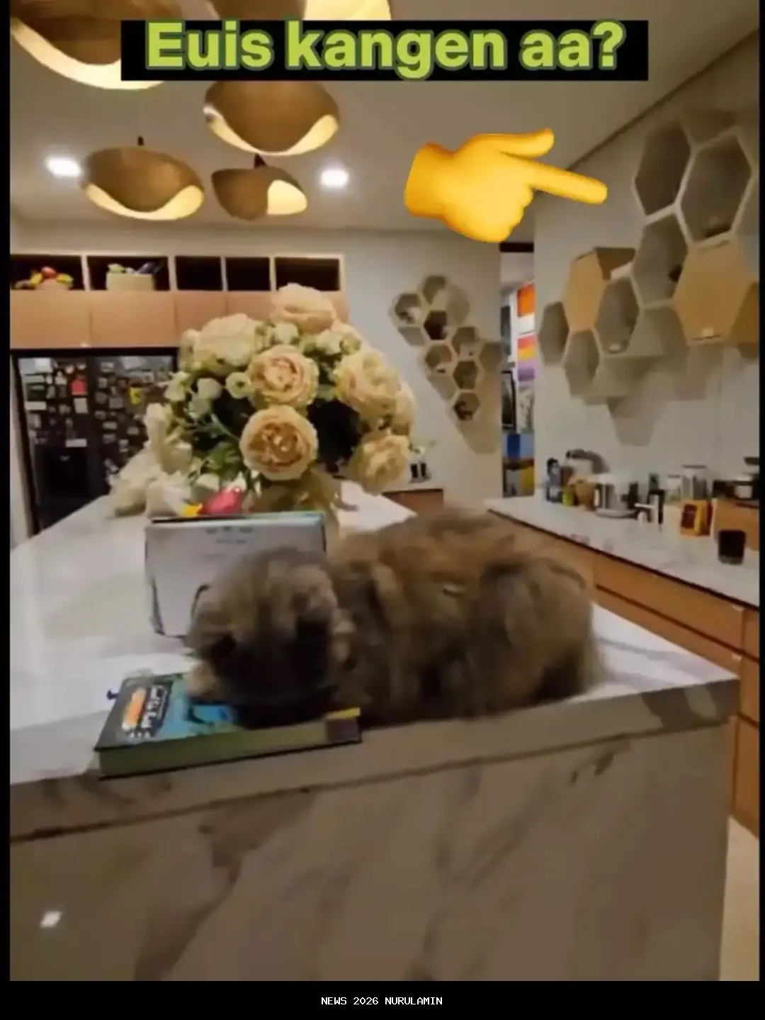 Kesaksian Tetangga Soal Rumah Kosong Atalia Praratya 6 Bulan Lalu