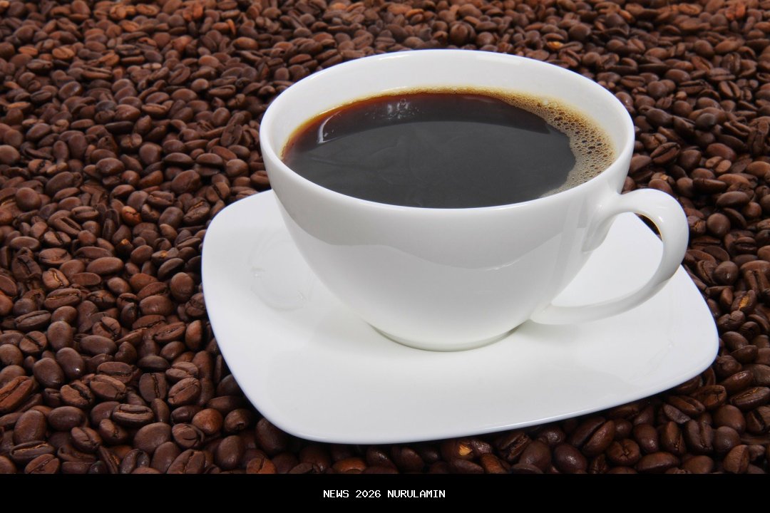 Kopi Jadi Penggerak Ekonomi Lampung, Disusul Wisata, Gubernur: Perlu Sinergi