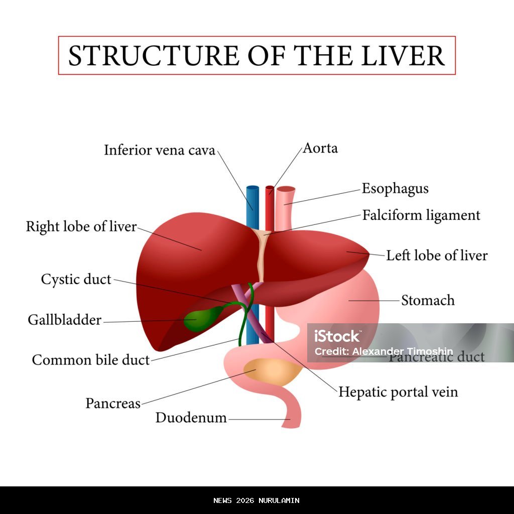 Hati-Hati dengan Pilihan, Scorpio Waktunya Sembuh! Ramalan Zodiak Hari Ini