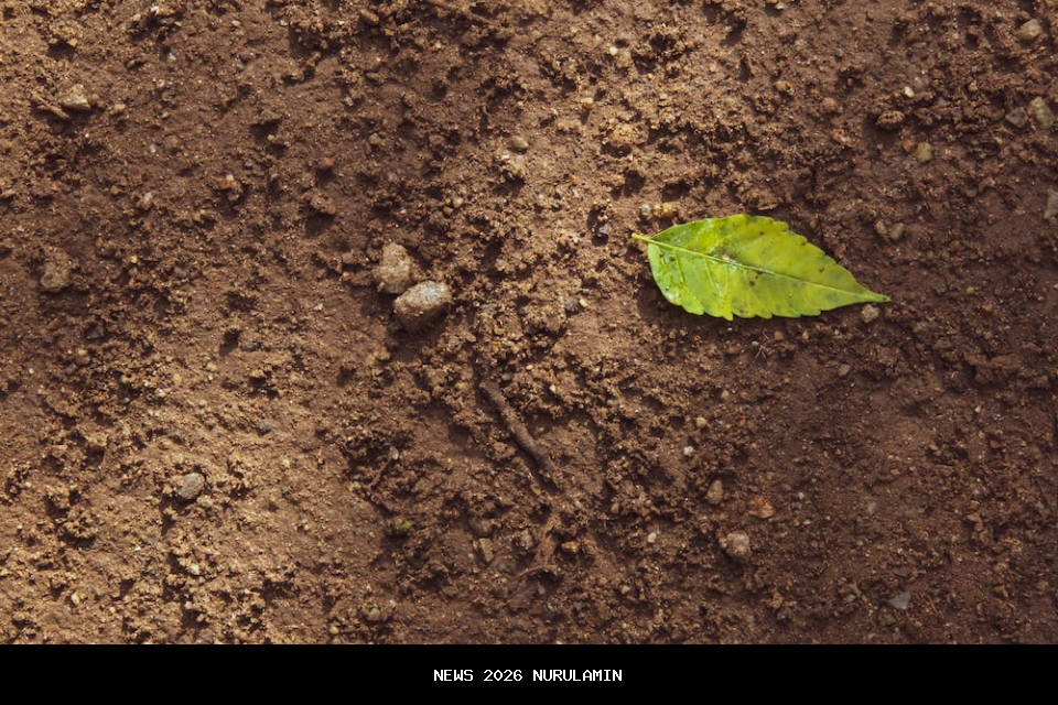 Tanah Lumpur Banjir Pidie Jaya Semakin Padat, Mengubur Rumah Warga, Pemkab Siapkan Lahan
