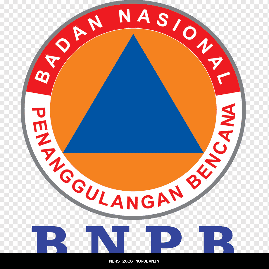 BNPB Sebarkan 10 Ton Garam di Langit Semarang dan Grobogan untuk Atasi Banjir