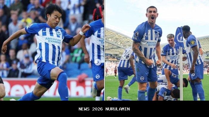 Prediksi Skor dan Susunan Pemain Brighton vs Newcastle United di Premier League