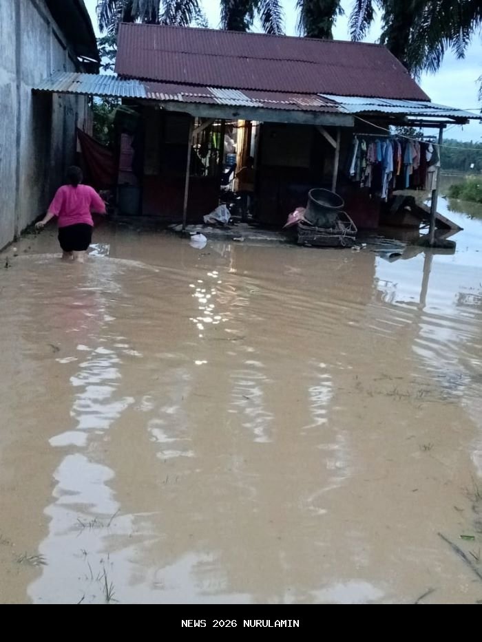 Bukan Hanya Faktor Alam, Kerusakan Hutan Picu Bencana Aceh