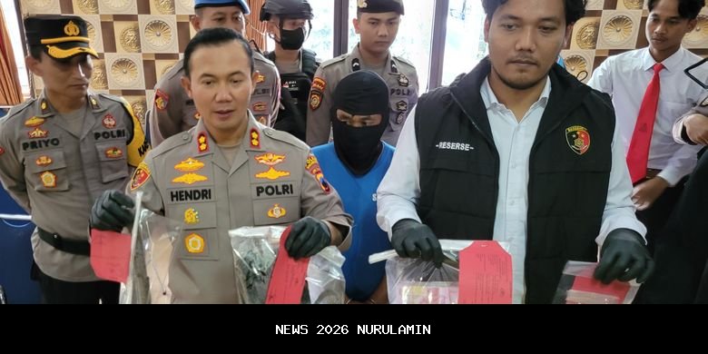 Kronologi Penemuan Mayat Bayi 4 Hari di Kebun Pisang Simp Rimbo Jambi, Ayah yang Mengubur