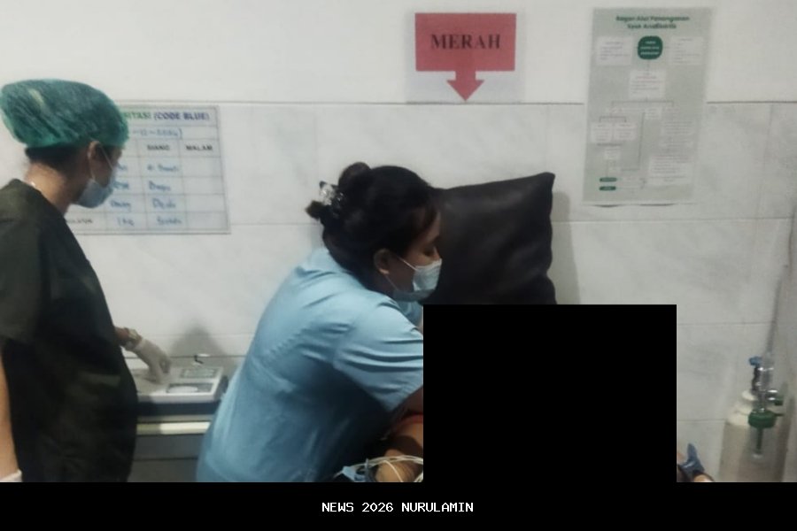 Identitas Pengemudi Lexus Tewas Tertimpa Pohon Tumbang. Warga: Area Pondok Indah Berbahaya