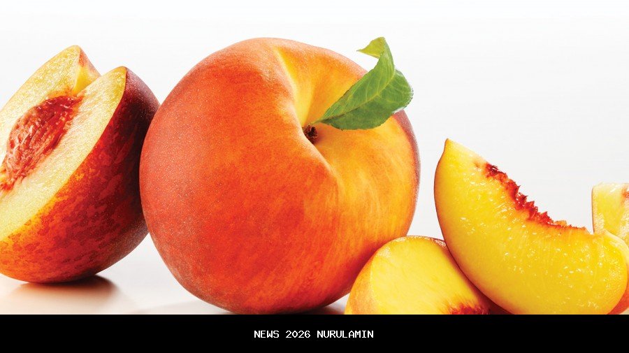 Persik Kediri Vs PSM Makassar: Macan Putih Kembali ke Kandang Setelah 6 Pekan, Persikmania Hadir