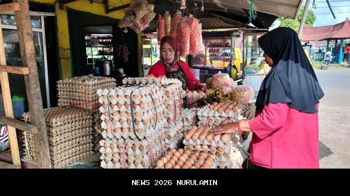 Harga Telur Ayam Naik di Musi Rawas, Rp54 Ribu per Karpet