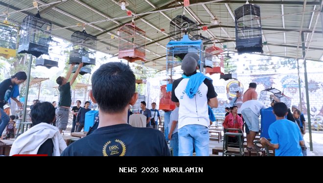 Kicau Mania Membanjiri Lanal Banjarmasin, Lomba Burung Jadi Magnet Ekonomi dan Komunitas