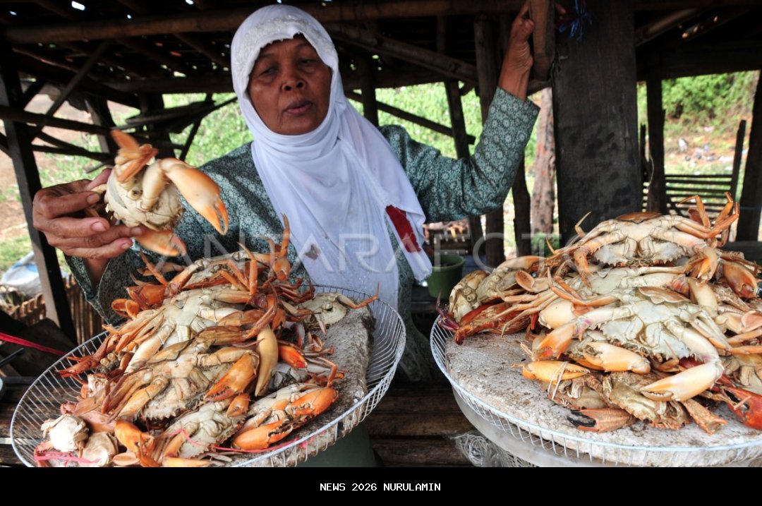 Rajungan Cirebon Diserbu Amerika, KKP Ingatkan Nelayan Soal Legalitas dan Konservasi
