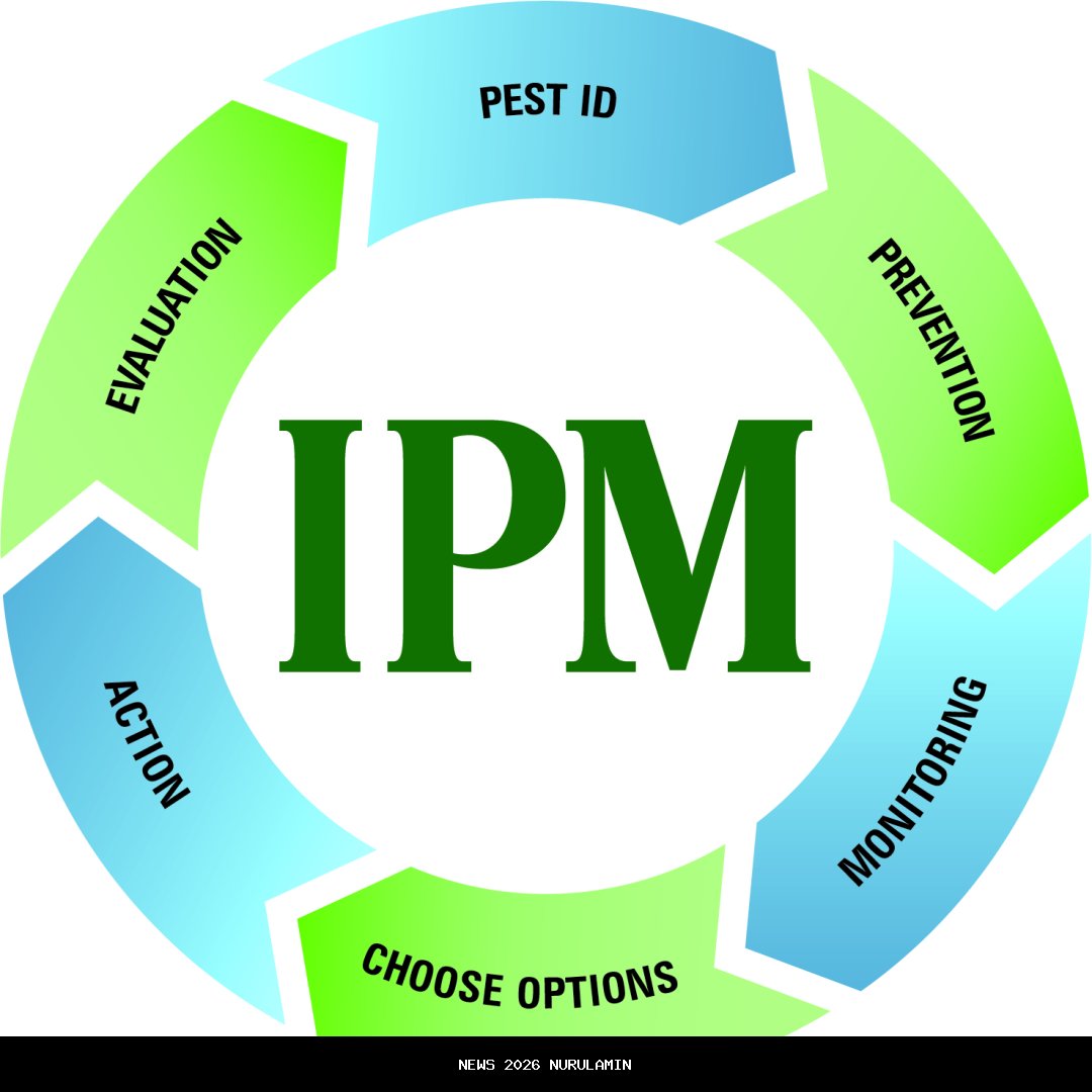 IPM Lampung 2025 Naik Jadi 73,98, Tunjukkan Perbaikan Kualitas Hidup Masyarakat