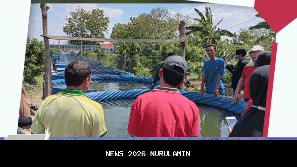 Mushola Purbalingga Dorong Ekonomi Umat dengan Manfaatkan Lahan Kosong, Warga Minta Takmir Dibentuk