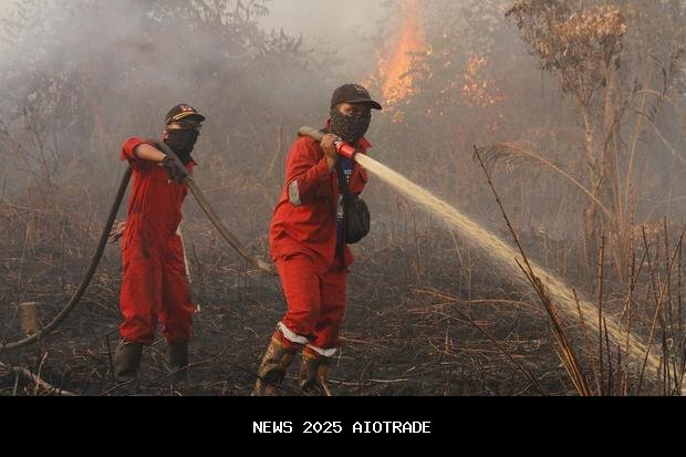 Kebakaran di Kalimantan dan Sumatra Didominasi Aktivitas Manusia