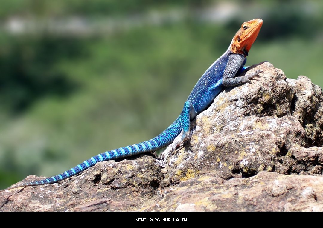 Agama Jule Sebelum Menikah, Biodata Julia Prastini Istri Na Daehoon Dikaitkan Selingkuh dengan Petinju Safrie